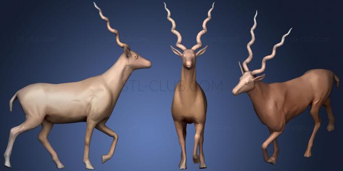 3D model ANTELOPE LOWPOLY108 (STL)